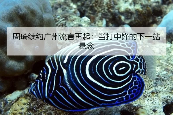 zhou-qi-xu-yue-guang-zhou-liu-yan-zai-qi-dang-da-zhong-feng-de-xia-yi-zhan-xuan-nian-1-519.jpg